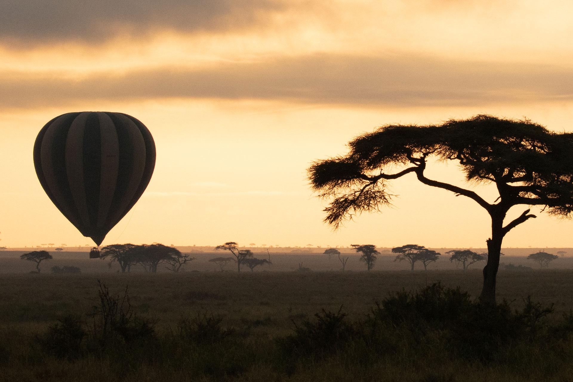 Balloon flight very early in the morning over the Serengeti Balloon flight very early in the morning over the Serengeti
