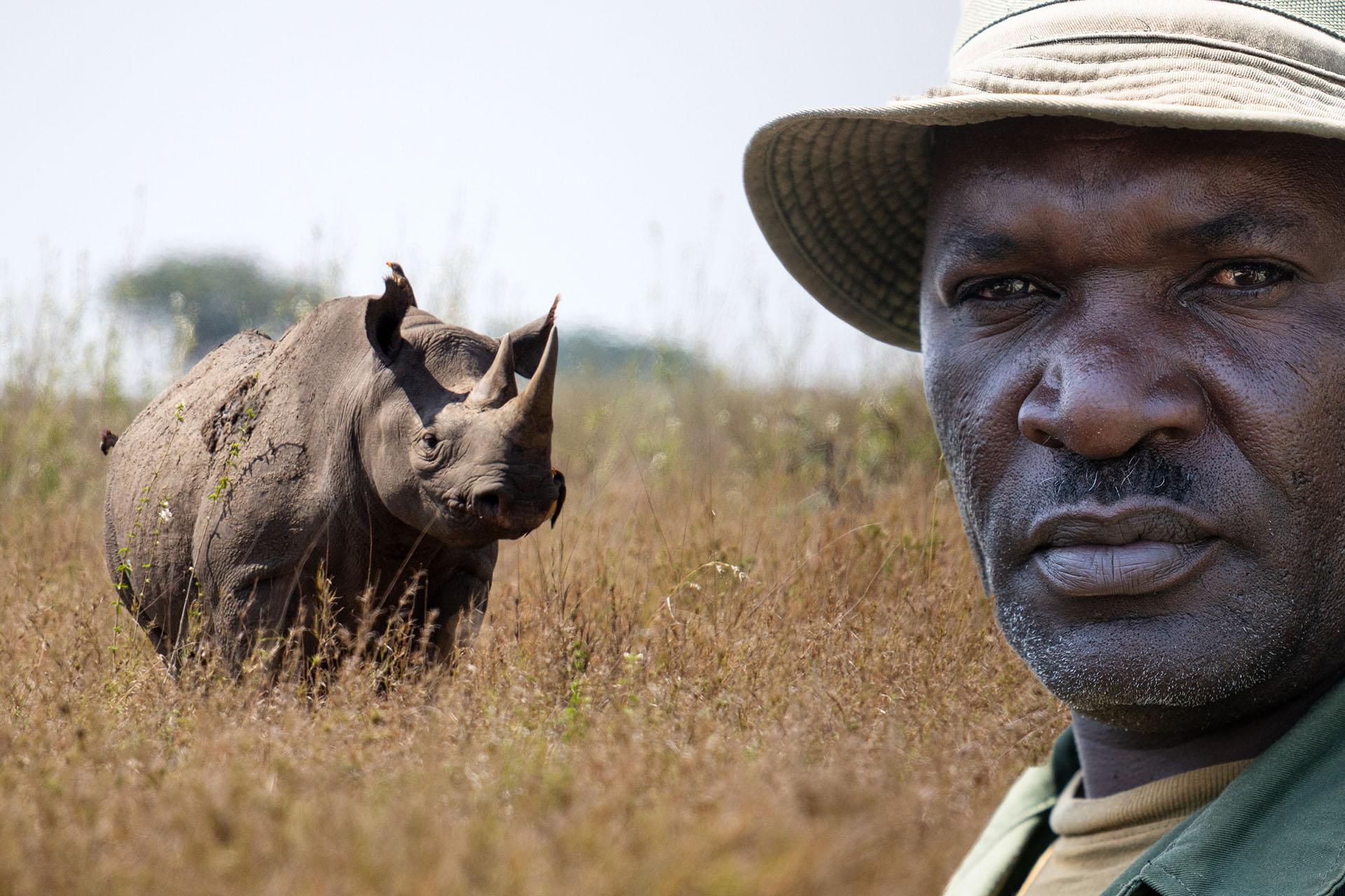 Tanapa established the first rhino conservation project in Moru Kopjes in southwestern Serengeti