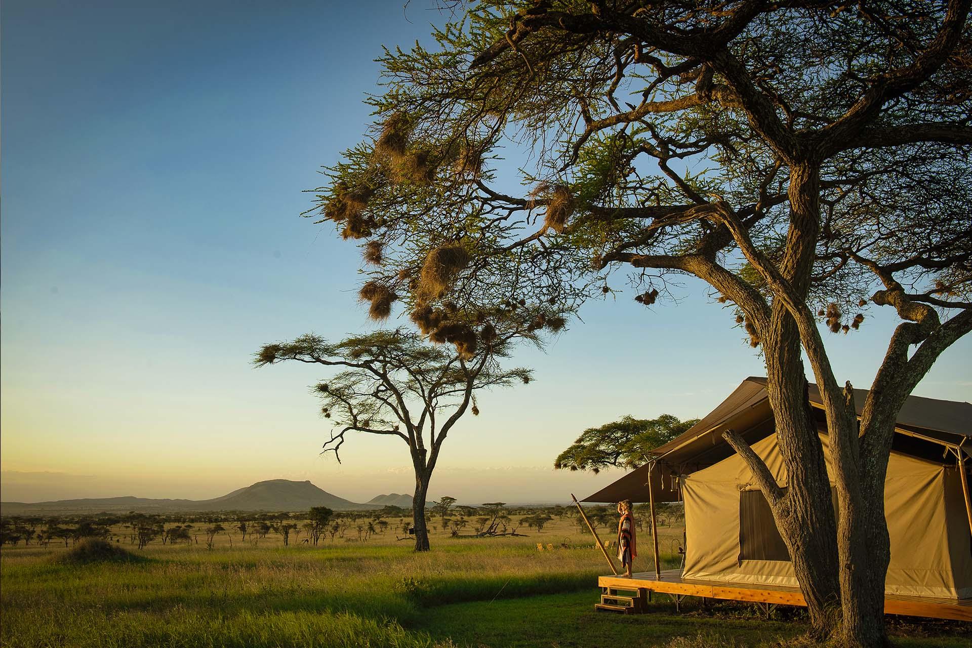 Wildlife migrates daily through the camp and it is possible to game view and bird watching from the verandah of your tent.