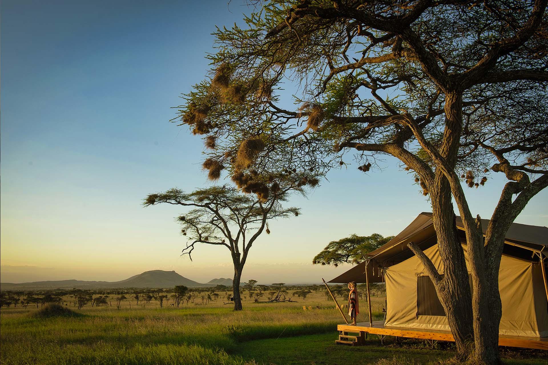 Untamed Wilderness on your Doorstep Wildlife migrates daily through the camp and it is possible to game view and bird watching from the verandah of your tent.